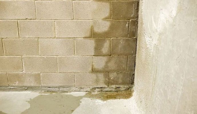 Leaked wall in basement
