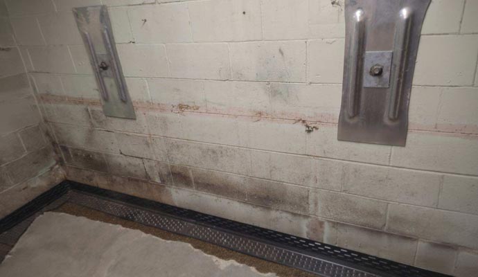 Bowing basement wall