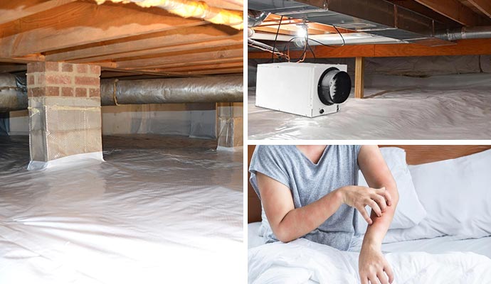 Collage of crawl space vapor barrier, installed dehumidifier and person with allergen problems
