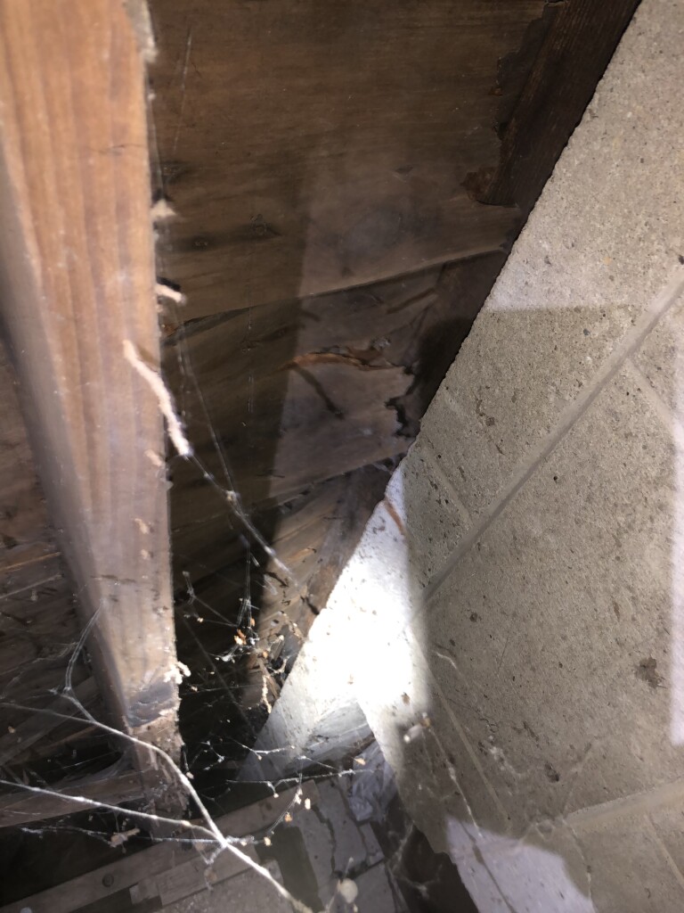 Deteriorated subflooring.