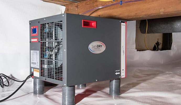 Moisture Control Services in Indianapolis