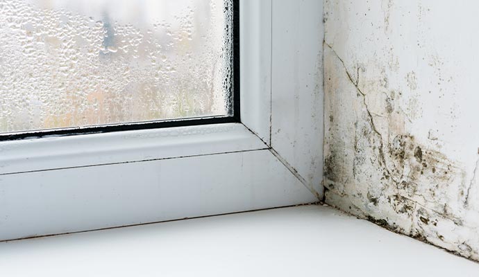 Severe condensation on a window pane and black mold growth on the adjacent wall