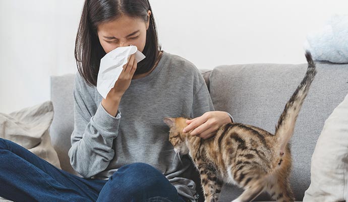 Pet allergen reaction