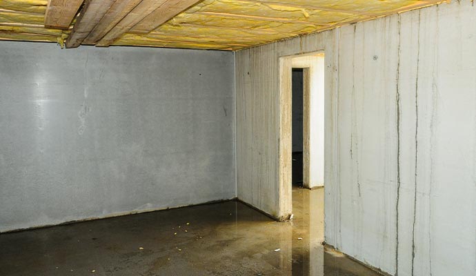 Water damaged basement