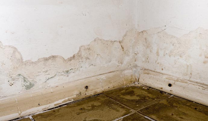 Water damaged floor and wall