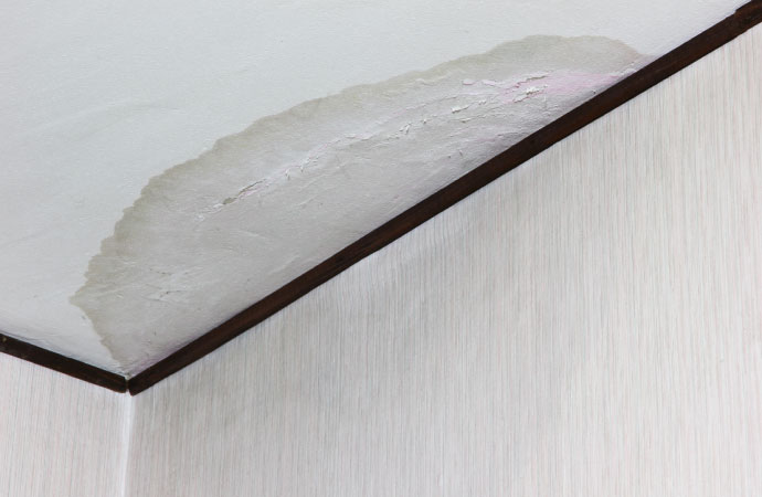 Water damaged roof 